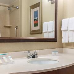 Отель Hilton Garden Inn Arlington/Courthouse Plaza ванная