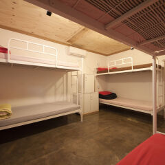 Lazy Fox Hostel детские мероприятия