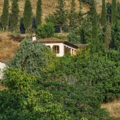 Отель Terrace Houses Sirince - Fig, Olive and Grapevine фото 4
