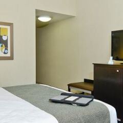 Отель Best Western Plus Travel Hotel Toronto Airport Канада, Торонто - отзывы, цены и фото номеров - забронировать отель Best Western Plus Travel Hotel Toronto Airport онлайн удобства в номере фото 2