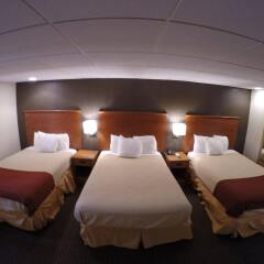 Отель Motel 6 Elizabeth - Newark Liberty Intl Airport США, Элизабет - отзывы, цены и фото номеров - забронировать отель Motel 6 Elizabeth - Newark Liberty Intl Airport онлайн комната для гостей фото 4