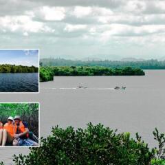 Отель Lotus Paradise Health Resort Шри-Ланка, Ахунгалла - отзывы, цены и фото номеров - забронировать отель Lotus Paradise Health Resort онлайн парковка