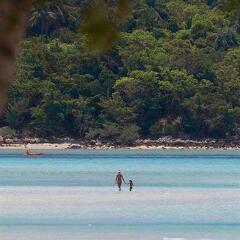 Отель Chura Samui Resort Таиланд, Самуи - отзывы, цены и фото номеров - забронировать отель Chura Samui Resort онлайн приотельная территория фото 2