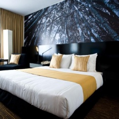 Отель Cinnamon Lakeside Colombo комната для гостей фото 5