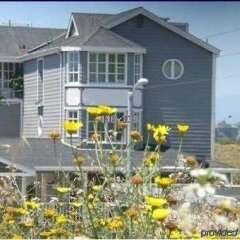 Отель Inn at Playa del Rey США, Лос-Анджелес - отзывы, цены и фото номеров - забронировать отель Inn at Playa del Rey онлайн фото 6