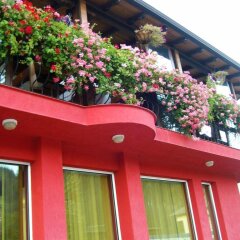 Отель Family Hotel Flora Болгария, Ардино - отзывы, цены и фото номеров - забронировать отель Family Hotel Flora онлайн фото 12
