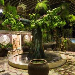 Galina Hotel & Spa Нячанг фото 4