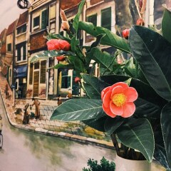 Отель Halley Hostel Вьетнам, Ханой - отзывы, цены и фото номеров - забронировать отель Halley Hostel онлайн интерьер отеля фото 3