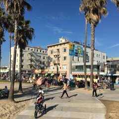 Отель Venice Beach Suites & Hotel США, Лос-Анджелес - отзывы, цены и фото номеров - забронировать отель Venice Beach Suites & Hotel онлайн фото 3