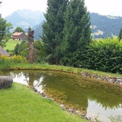 Отель Gstaad - Amazing Lake Chalet фото 2