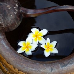 Отель Orchidacea Resort Таиланд, Пхукет - 10 отзывов об отеле, цены и фото номеров - забронировать отель Orchidacea Resort онлайн в номере фото 2