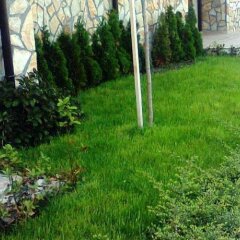 Отель Complex Kentavar Свети Влас фото 11