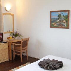 Отель The Forest House Боженци удобства в номере фото 2