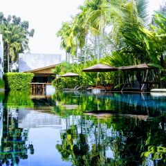 Отель Tea Tree Boutique Resort