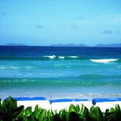 Flamenco Villas & Beach Club in Manzanillo, Venezuela from 153$, photos, reviews - zenhotels.com beach
