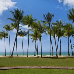 Отель JW Marriott Khao Lak Resort and Spa с домашними животными