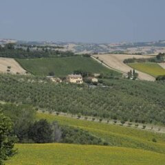 Отель Agriturismo Al Crepuscolo Италия, Реканати - отзывы, цены и фото номеров - забронировать отель Agriturismo Al Crepuscolo онлайн фото 6