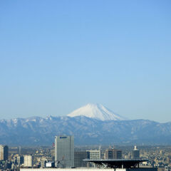Отель Mandarin Oriental Tokyo Токио фото 9