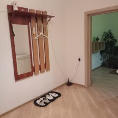 Гостиница Hanaka on Perovskaia 66 в Москве отзывы, цены и фото номеров - забронировать гостиницу Hanaka on Perovskaia 66 онлайн Москва удобства в номере фото 2