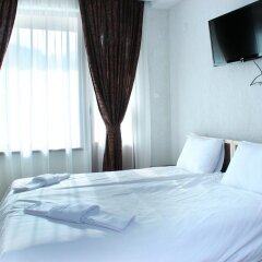 Отель Family Hotel Aleks Болгария, Ардино - отзывы, цены и фото номеров - забронировать отель Family Hotel Aleks онлайн фото 10