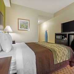 Comfort Inn East in Indianapolis, United States of America from 129$, photos, reviews - zenhotels.com guestroom photo 3