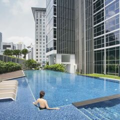 Отель Ascott Orchard Singapore с домашними животными