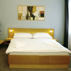 Best Western Hotel Trend Пльзень