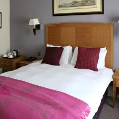 Отель Buckerell Lodge Hotel Великобритания, Эксетер - отзывы, цены и фото номеров - забронировать отель Buckerell Lodge Hotel онлайн комната для гостей