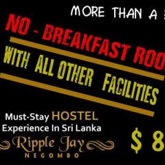 Отель Ripple Jay @ Negombo гостиничный бар