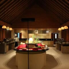 Отель Canareef Resort Maldives интерьер отеля фото 2