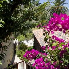 Отель 106067 - House in Santa Lucía de Tirajana фото 7