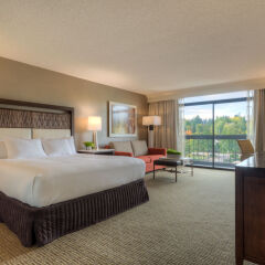 Отель Hilton Bellevue комната для гостей фото 4