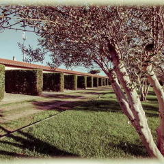Отель All Ways Garden Hotel & Leisure Италия, Рим - отзывы, цены и фото номеров - забронировать отель All Ways Garden Hotel & Leisure онлайн помещение для мероприятий фото 2