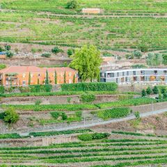Отель Quinta do Vallado Португалия, Пезу-да-Регуа - отзывы, цены и фото номеров - забронировать отель Quinta do Vallado онлайн приотельная территория фото 2