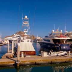 Отель Las Mananitas LM 3 Villa 3502 3 Bedroom Villa By Seaside Los Cabos Сан-Хосе-дель-Кабо приотельная территория фото 2