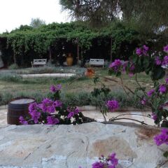 Отель Masseria Pilano Италия, Криспьяно - отзывы, цены и фото номеров - забронировать отель Masseria Pilano онлайн фото 9