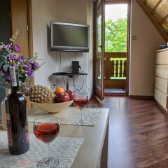 Апартаменты VisitZakopane White River Apartments комната для гостей