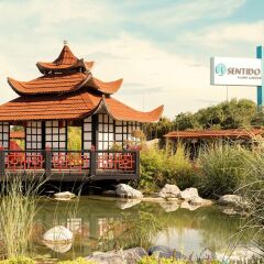 Отель Flora Garden Beach Club - Adults Only фото 12