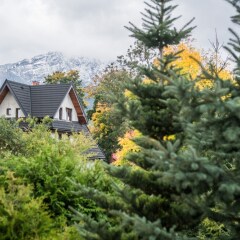 Отель Apartament Nowotarski Польша, Закопане - отзывы, цены и фото номеров - забронировать отель Apartament Nowotarski онлайн фото 2
