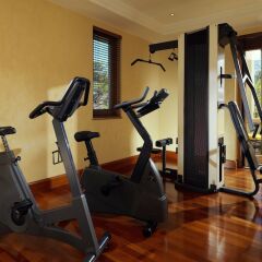 Sheraton Addis, a Luxury Collection Hotel, Addis Ababa фитнесс-зал фото 3