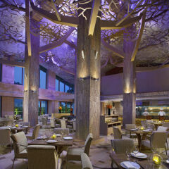 Resorts World Sentosa - Equarius Hotel питание