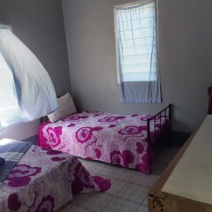 Отель Amour Rendezvous HomeStay Фиджи, Вити-Леву - отзывы, цены и фото номеров - забронировать отель Amour Rendezvous HomeStay онлайн комната для гостей