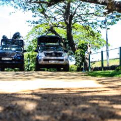 Отель Yala Safari Camping