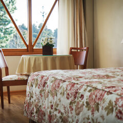 Hotel Alpestre in Gramado, Brazil from 170$, photos, reviews - zenhotels.com guestroom photo 5