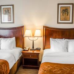 Отель Comfort Suites Saraland комната для гостей фото 4