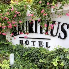 Отель Mauritius Италия, Риччоне - отзывы, цены и фото номеров - забронировать отель Mauritius онлайн фото 15