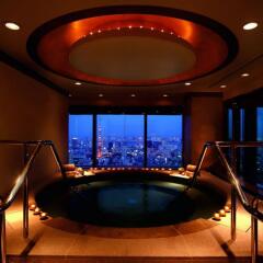 Отель The Ritz Carlton Tokyo Токио спа