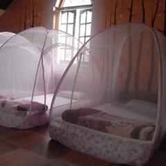 Отель Dalat Coffee House Homestay Далат пляж