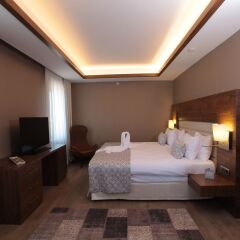 Bricks Airport Hotel Istanbul комната для гостей фото 4