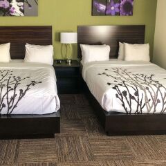 Отель Econo Lodge Montmorency Falls Канада, Буашатель - отзывы, цены и фото номеров - забронировать отель Econo Lodge Montmorency Falls онлайн ванная